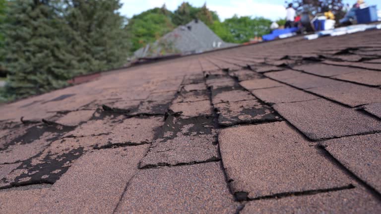 Best Hot Roofs  in Davis, CA