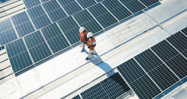 Best Roof Moss and Algae Removal  in Davis, CA